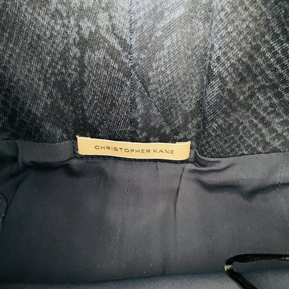 Christopher Kane Denim  Python Dress - Picture 7 of 10